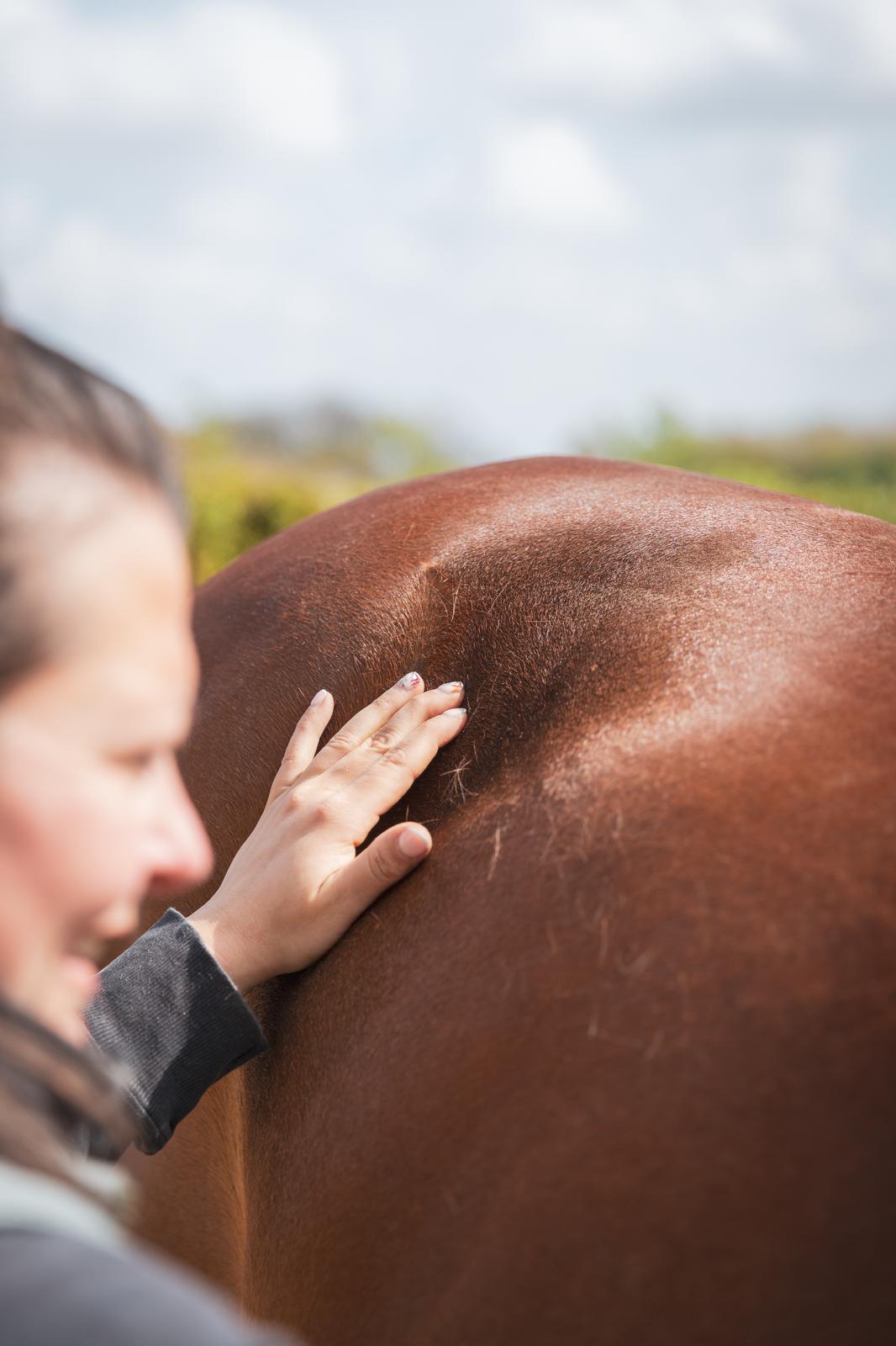 Massage pres Prepa Recup