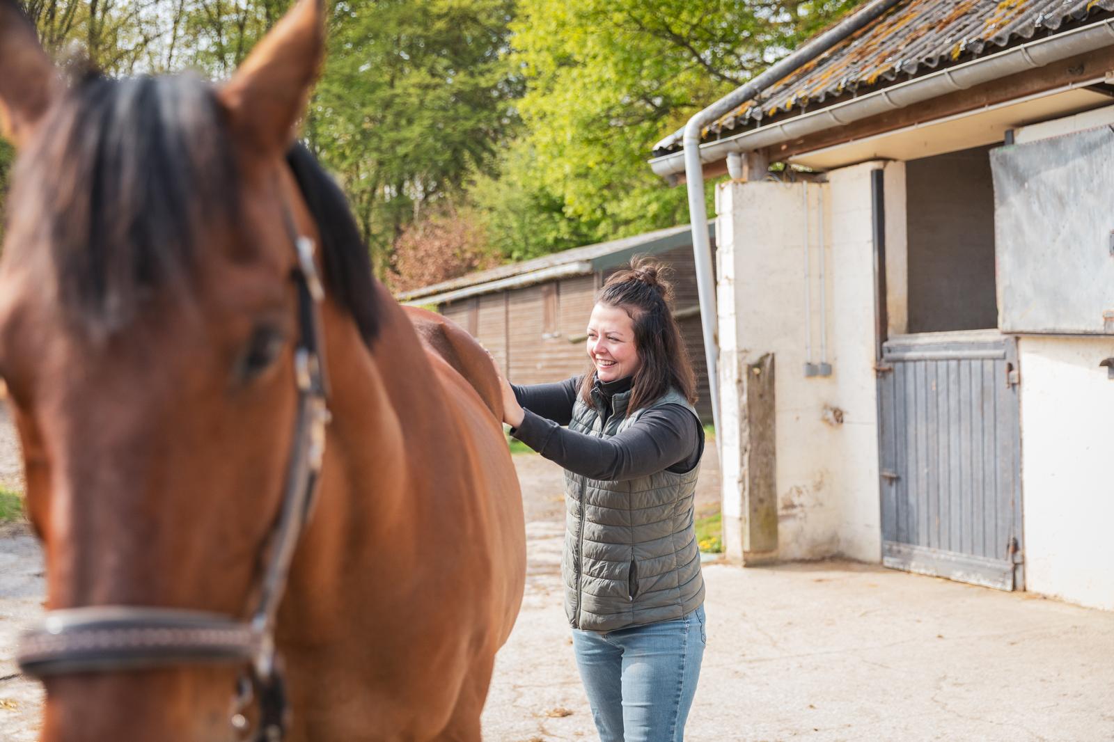 Aller à la section massages chevaux